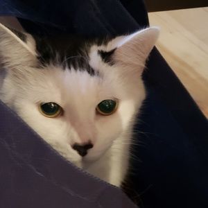 Meet your Posher, Kathy